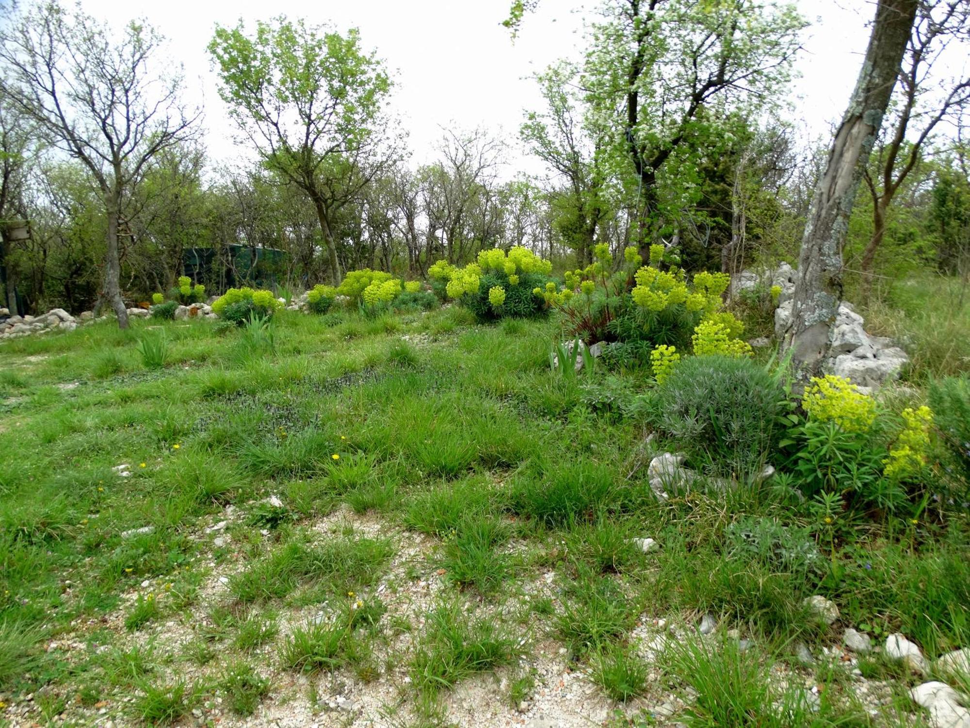 Apartments Dumic Crikvenica Luaran gambar